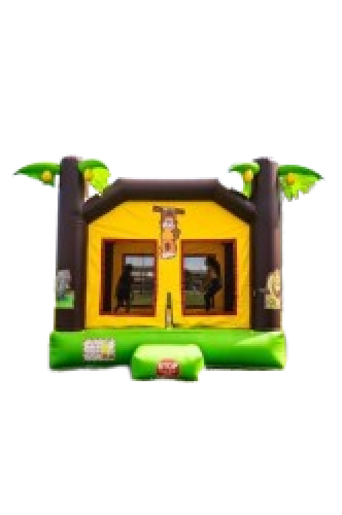 Bounce House Rentals