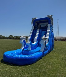 Dolphin Tide Thrills Water Slide