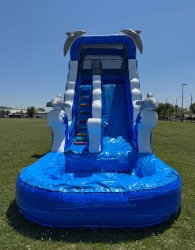 IMG 4332 1754357639 Dolphin Tide Thrills Water Slide