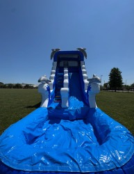 IMG 4333 1754357639 Dolphin Tide Thrills Water Slide