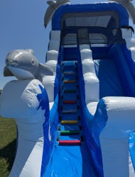IMG 4334 1754357640 Dolphin Tide Thrills Water Slide