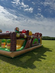 IMG 4369 1754362281 Mario and Luigi's Speedy Challenge Obstacle Course